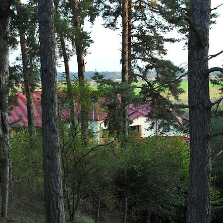Rasarit De Soare Hotel Rotbav Eksteriør billede